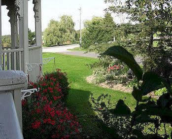 Broecheler Inn Cayuga Kültér fotó